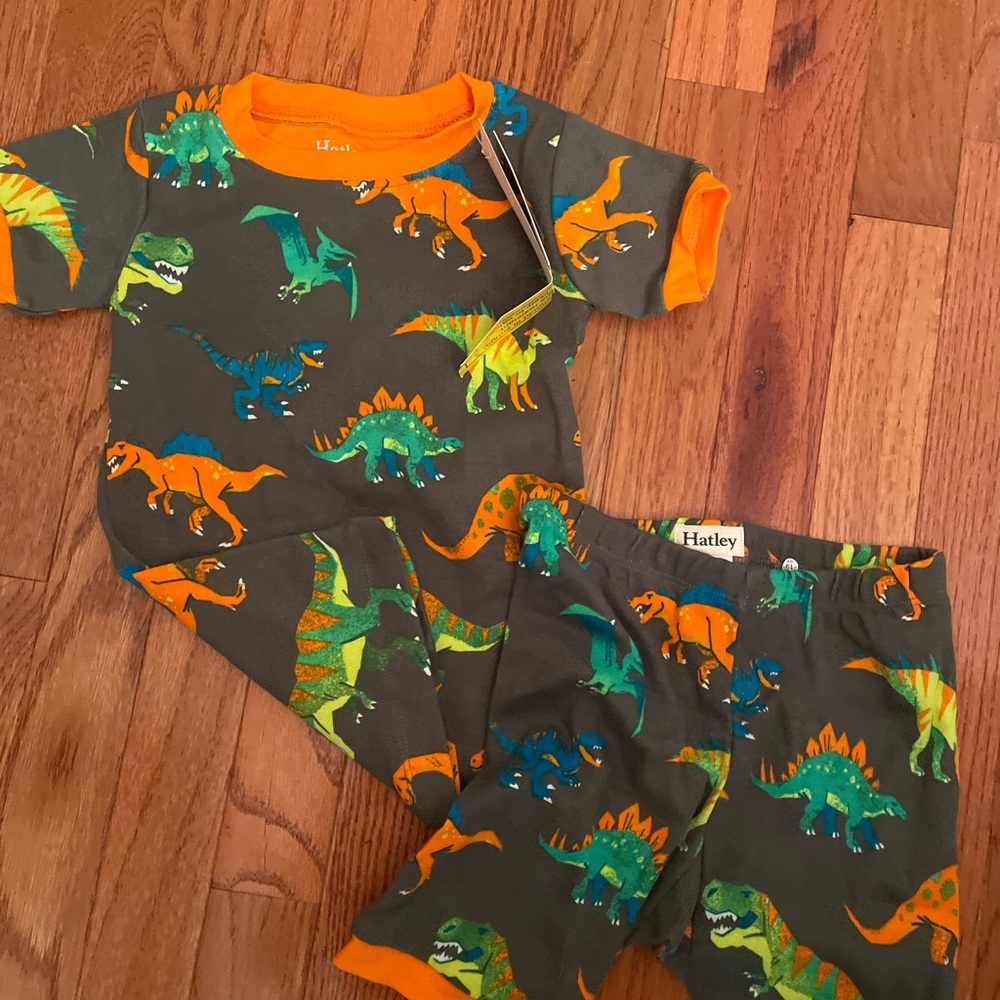 Hatley Dinosaur Pajama Set Orange and Green and the matching book!!